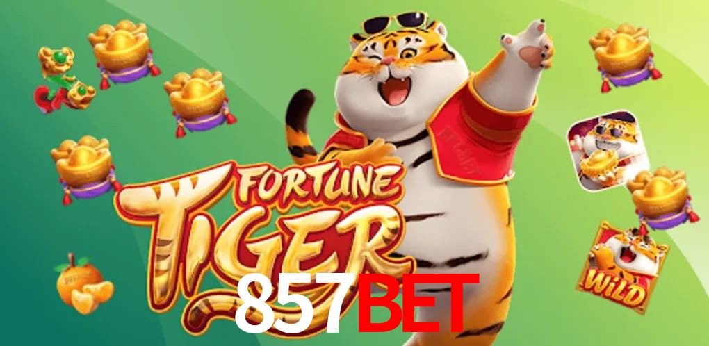 Sports Statistics 857bet